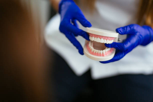 Best Preventive Dentistry  in Mount Vernon, IN